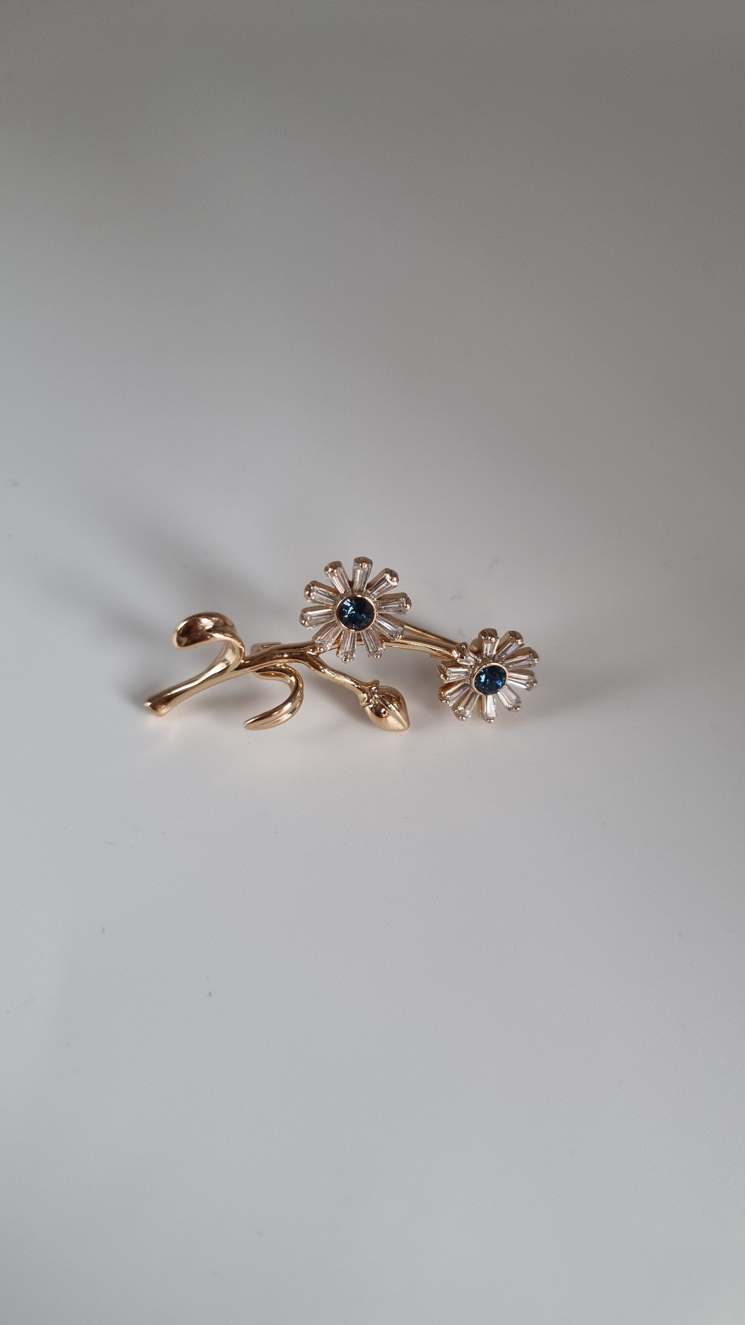 Brooches
